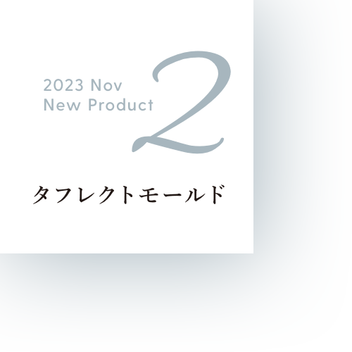2023 Nov New Product 2 タフレクトモールド